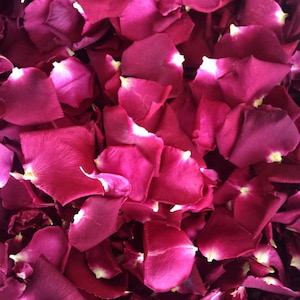 Freeze-Dried Rose Petals. Eco-Friendly Biodegradable Wedding Confetti. The best price for these petals. 5 cups = 1 liter.