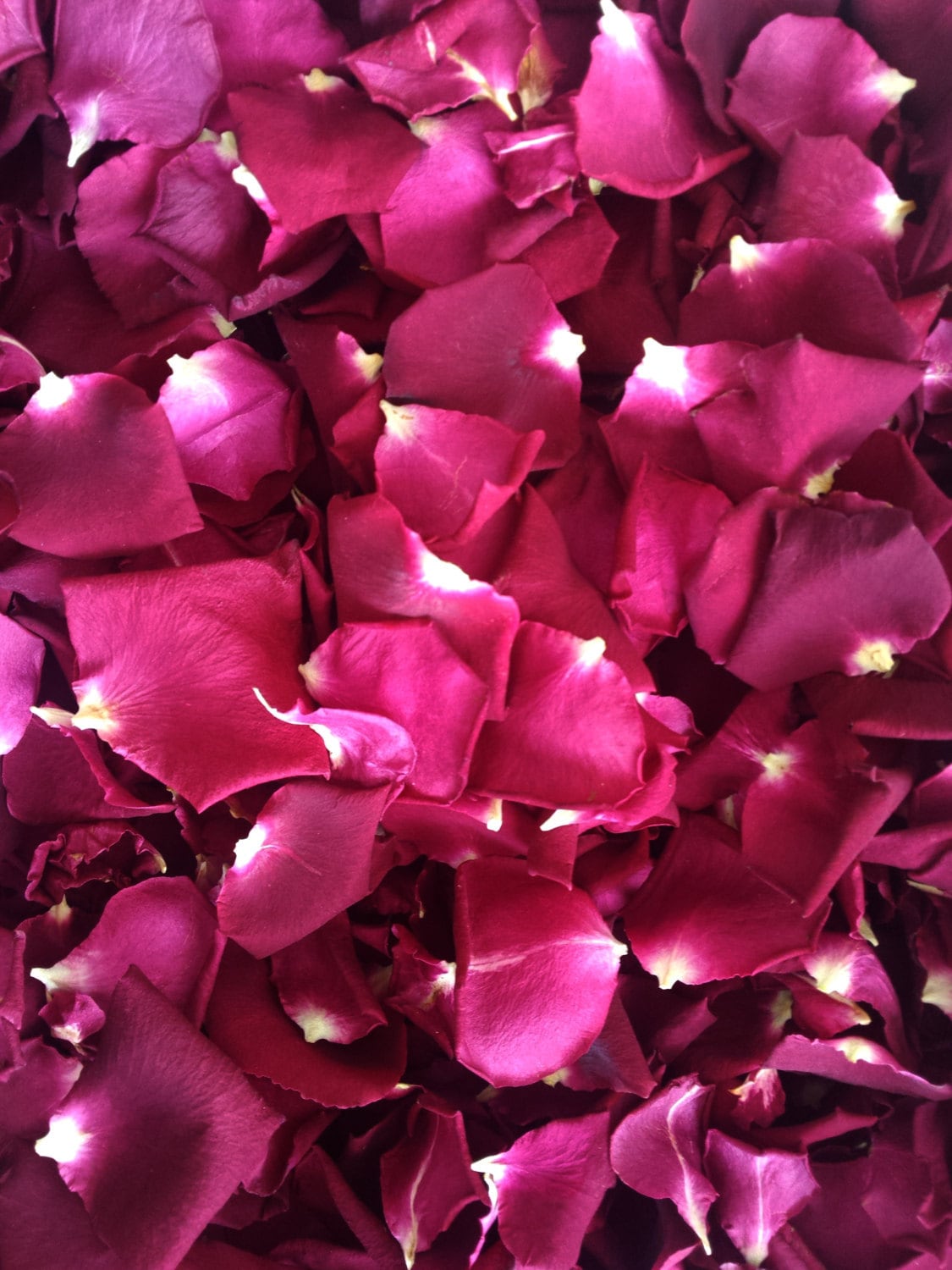 Freeze-Dried Rose Petals, 5 cups  (1 liter). Lovely for wedding confetti. The best price for these petals.