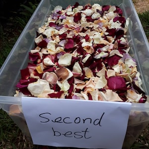 10 tazze = 2 litri di petali di rosa liofilizzati. Petali di rosa "secondi migliori" — Deliziosi petali di rosa naturali per il lancio nuziale. Profumo fantastico!