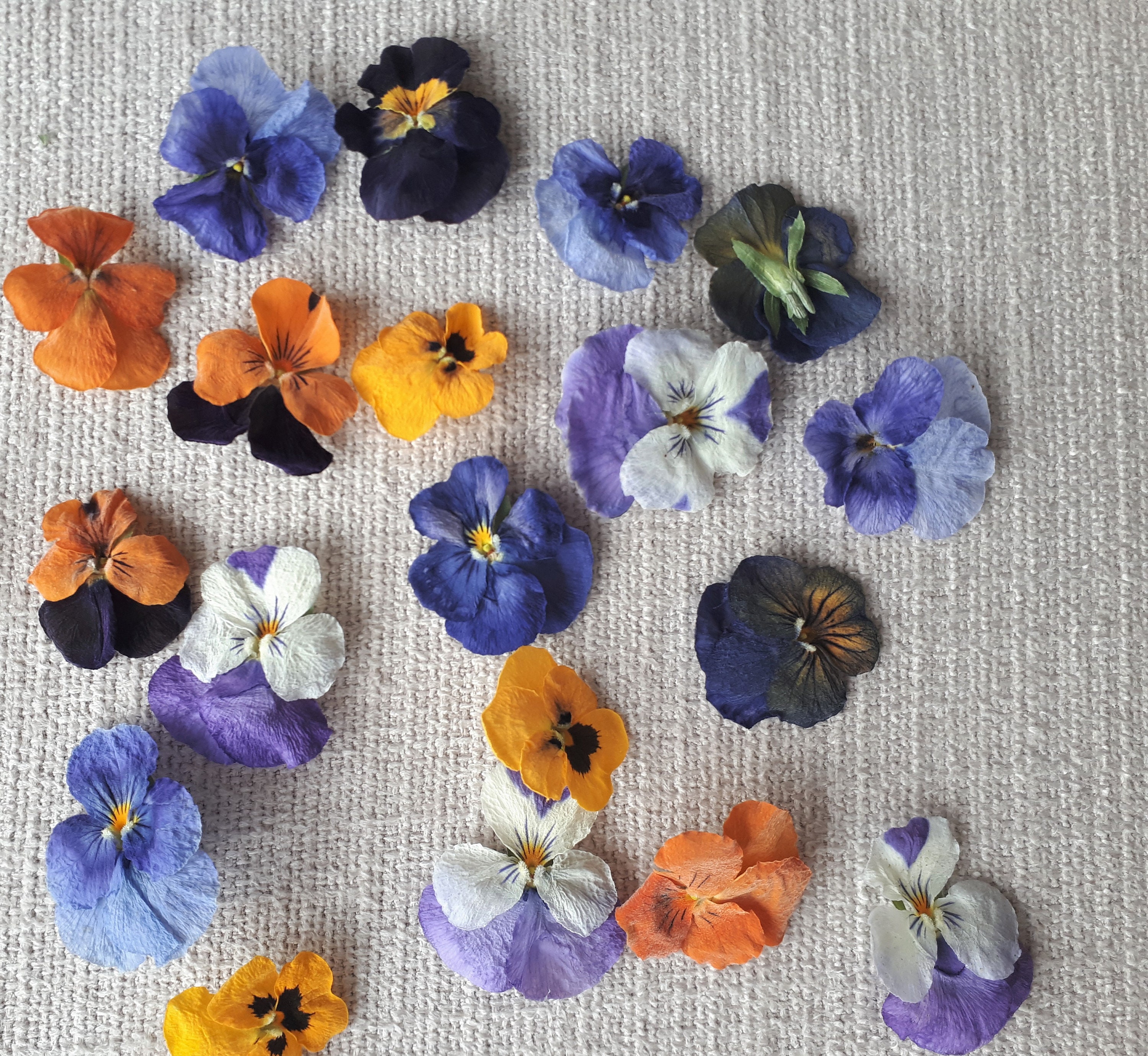 Edible Dried Pansies. High Quality for Wedding Decorations Etsy