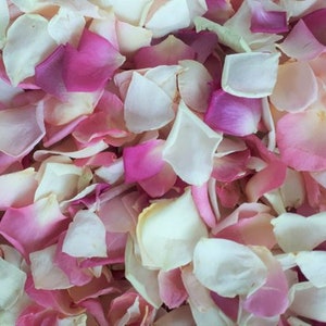 5 cups of Pink & Ivory Freeze-Dried Rose Petals. Beautiful for your special day.