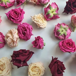 6 heads Freeze-dried rose heads. Mixed colors. Lovely for Decorations, many possibilities. Size: 4-5cm. Smells great!