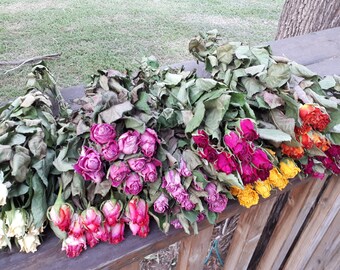 Air dried roses with stems. A bunch of 10 real dried roses. Come in different colors.
