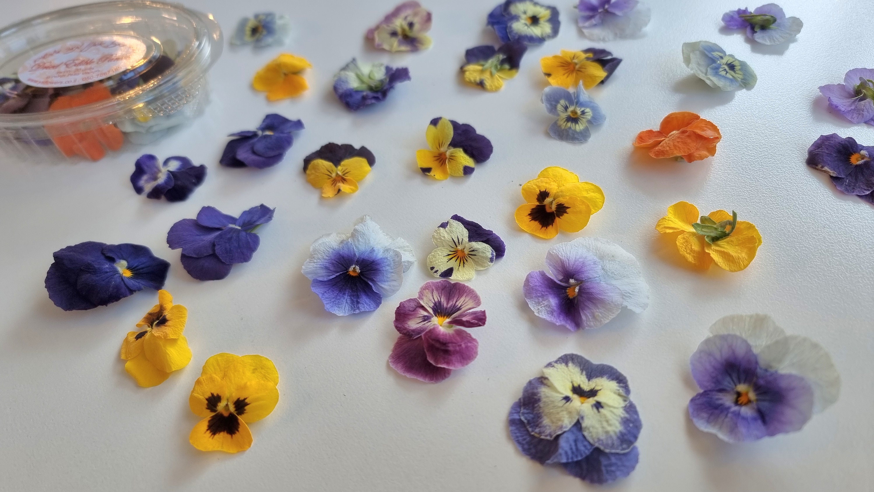 20 Freezedried Edible Flowers. High Quality. Lovely Pansy for Etsy