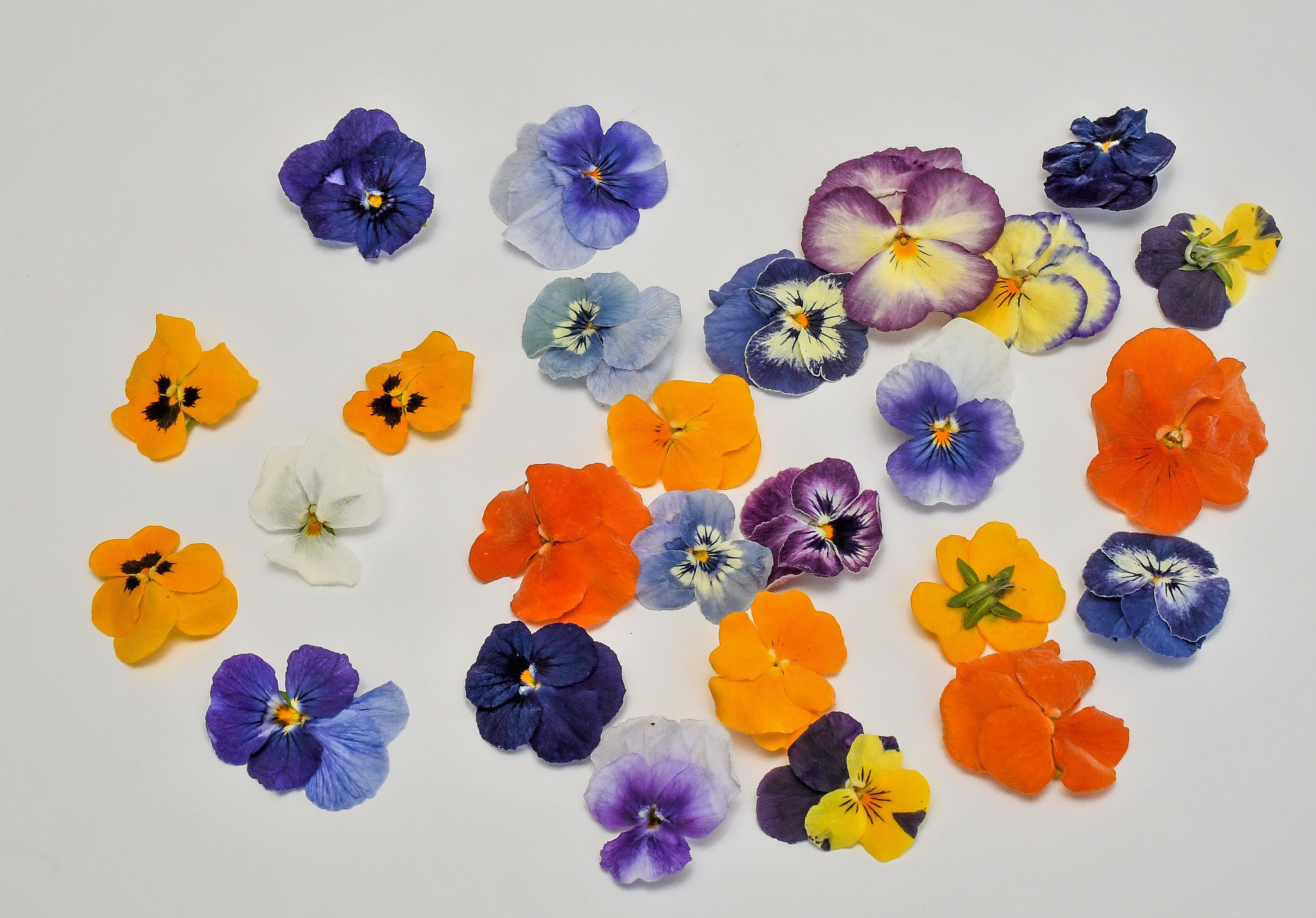 60 Dried Edible Mini-pansy flowers . NO chemicals! Perfect for food decoration, Cocktail Garnishing, Cake Toppers. Long shelf life.