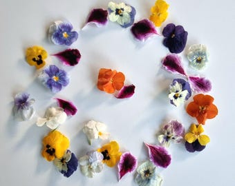 ¡OFERTA! Viola (pensamiento) comestible liofilizada. ¡SIN químicos! Perfecta para decoración de alimentos, joyería y manualidades. 20 flores. ¡Alta calidad!