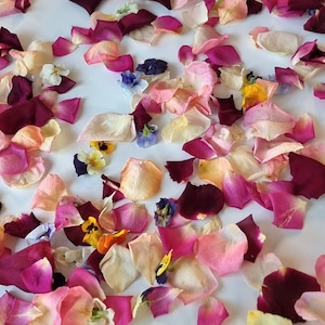 NOVITÀ! 10 tazze (2 litri) di petali di rosa e viole del pensiero liofilizzati. Bellissimi fiori naturali profumati per il lancio di nozze e il cestino delle damigelle.