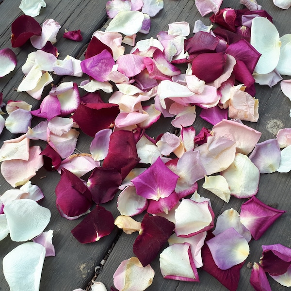 Pétales de rose lyophilisés. 50 tasses. Mélangez les couleurs, jolis pétales de rose naturels pour la décoration.