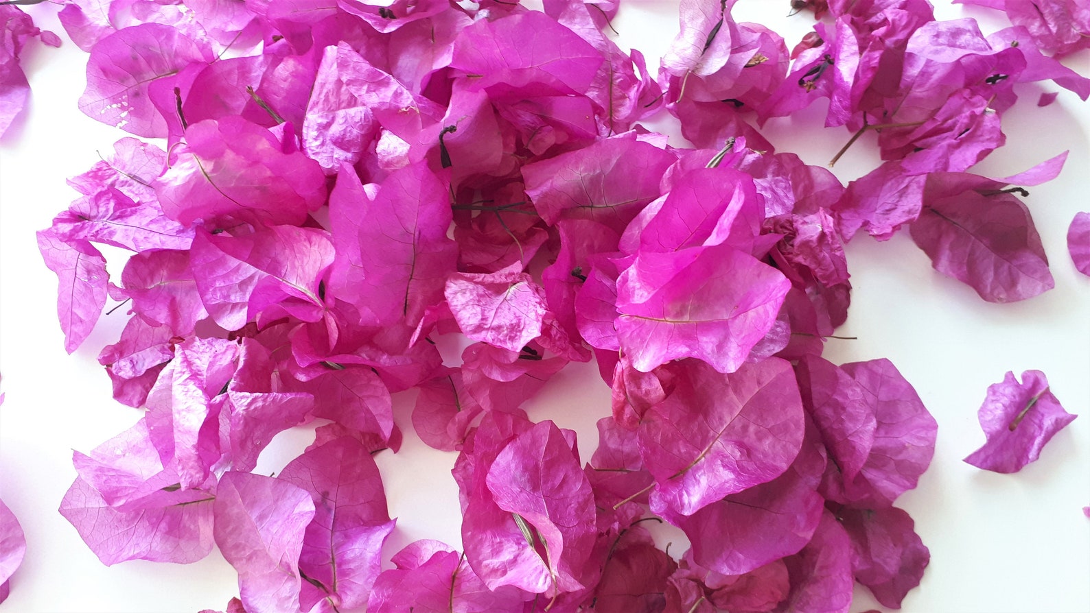 Dried Bougainvillea. 10 Liter of a Lovely Flower Girls and Etsy