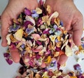 10 cups = 2 liters. Best Price for Biodegradable Wedding Confetti: Dried Rose & Pansy Petals, Rainbow Mix. NO extra fees for U.S. customers! product logo