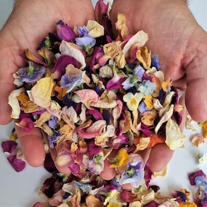 Confettis de mariage. Pétales De Roses Séchées Biodégradables Avec Pensées Séchées. 1 litre 5 tasses. Jeter des fleurs. Décor de table. image 1