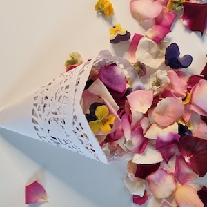 10 Pcs Wedding confetti cones with lovely freeze-dried Rose Petals and Pansies. Eco-Friendly.