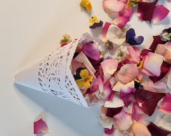 10 Pcs Wedding confetti cones with lovely freeze-dried Rose Petals and Pansies. Eco-Friendly.