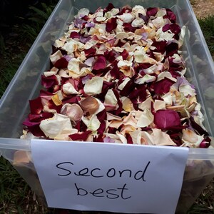 SALDI!! 50 tazze = 10 litri! di petali di rosa liofilizzati. "Secondo migliore". Deliziosi cestini per damigelle e decorazioni per la navata.