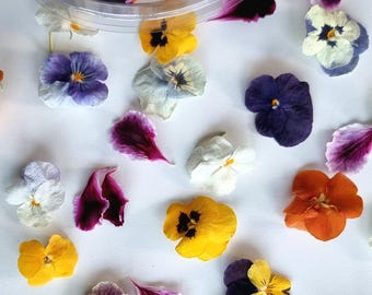 Flores secas comestibles de alta calidad. Ideales para decorar bebidas, pasteles y manualidades. Paquete de 20 pensamientos violeta.