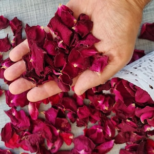 Petali di rosa essiccati. Coriandoli nuziali biodegradabili. 100% naturale. Colore bordeaux. Il prezzo è per 1 litro (5 tazze).
