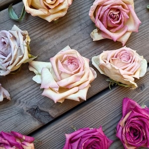 Teste di rosa liofilizzate profumate ecologiche. 6 in una scatola. Dimensioni: 3-4 cm. Colori misti. Deliziose per la decorazione.