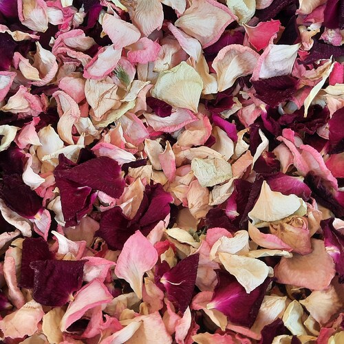 Natural Rose Petal Biodegradable Wedding Confetti. Dried Rose Etsy