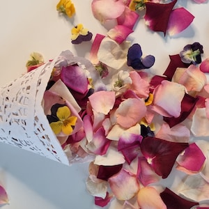 10 Cones for wedding petals together with lovely freeze-dried Rose Petals and pansies. Eco-Friendly.