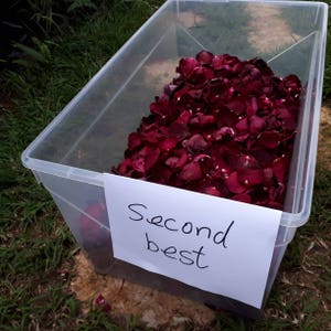 2 litri = 5 tazze di petali di rosa liofilizzati. Petali di rosa "secondi migliori" — Ottimi per il lancio nuziale. Profumo fantastico!