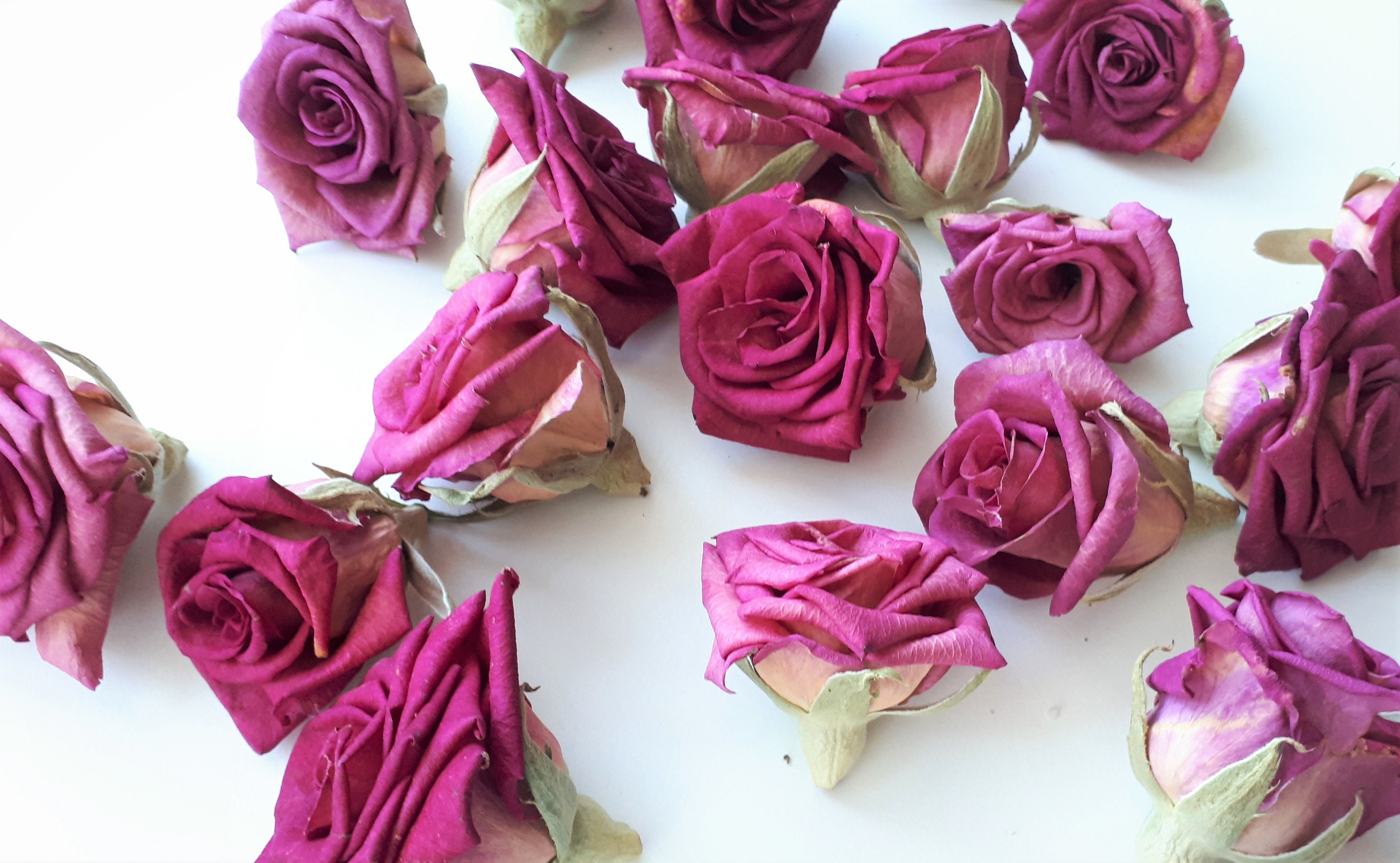 Fragrant Freeze Dried Rose Heads. 6 in a box. Size 3.5 Etsy
