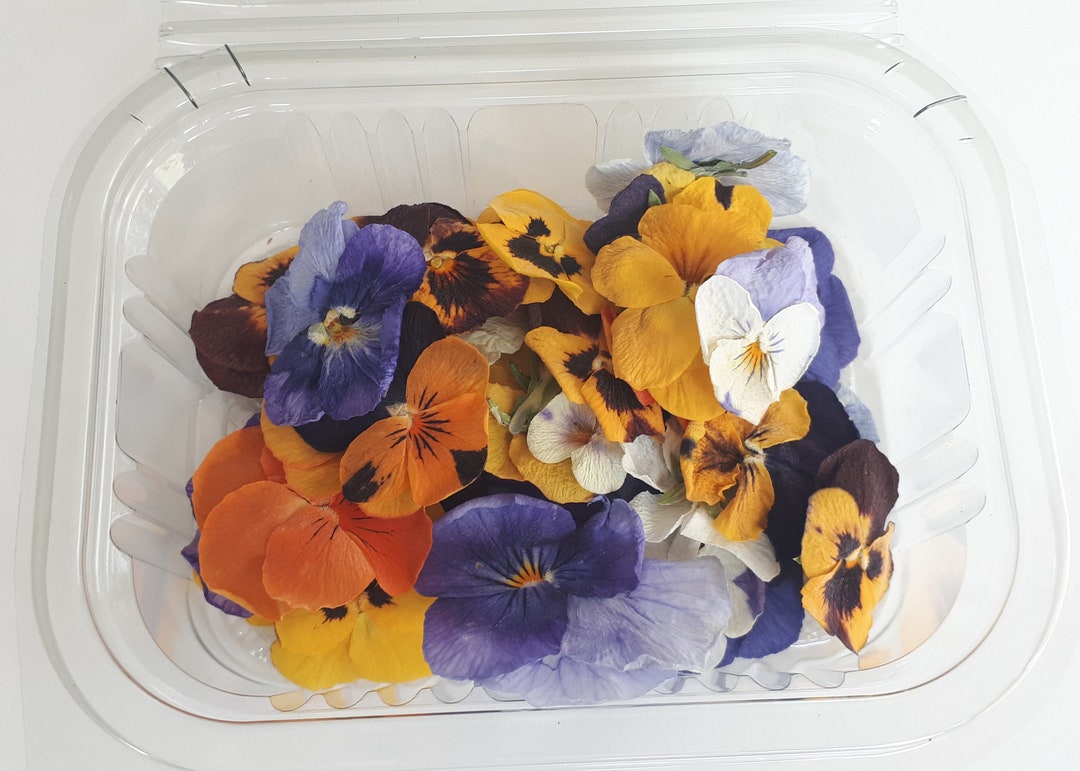 Dried Edible Pansies Perfect for Baking Drink Toppers Etsy