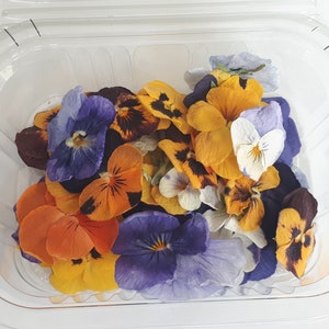 NEW! Dried Edible Pansies viola.  High Quality! perfect for baking, Drink Toppers, Cupcake Toppers, Cake Decorations. Pack of 20 pansies.