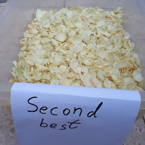 Petali di rosa liofilizzati ecologici. Deliziosi petali di rosa "Second-best". 10 tazze = 2 litri. Colore avorio/crema. Petali 100% naturali.