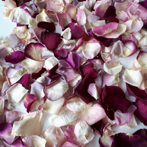 Freeze-Dried Rose Petals. colorful. 5 cups (1 liter)  NATURAL rose petals. lovely for wedding decoration.