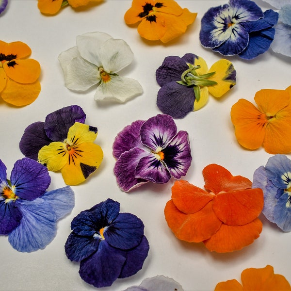 Dried Edible Pansies . High Quality!  20 viola flowers. perfect for drink Toppers, Cake Decorations and Craft Supplies. Long shelf life.