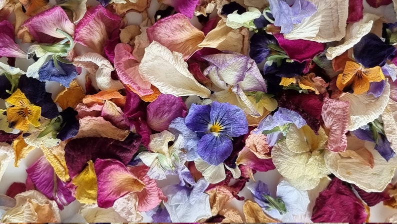 Confettis de mariage. Pétales De Roses Séchées Biodégradables Avec Pensées Séchées. 1 litre 5 tasses. Jeter des fleurs. Décor de table. image 3