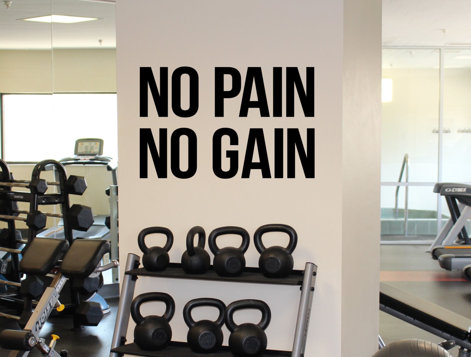 Gym Motivational Quote No Pain No Gain Vinyl Decal Fitness Etsy
