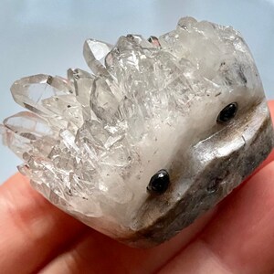 Quartz Cluster hedgehog