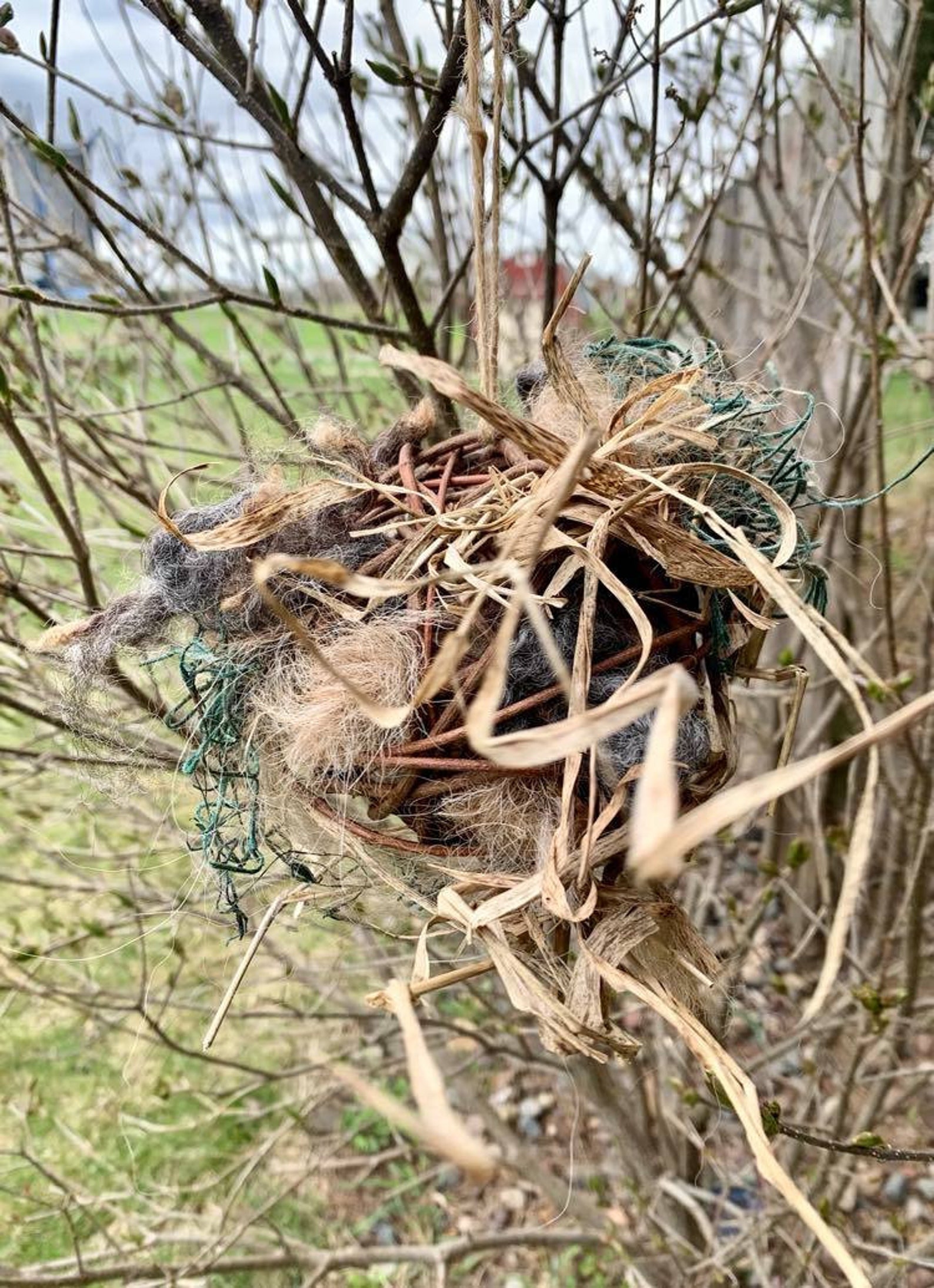 Ultimate Nesting Ball for Birds Etsy
