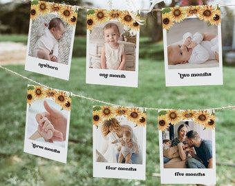 Może przedstawiać: Zestaw sześciu kart fotograficznych z obwódkami słoneczników, każda przedstawiająca dziecko w różnym wieku. Karty są oznaczone wiekiem dziecka, od noworodka do pięciu miesięcy.