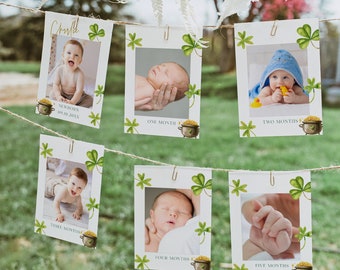 Lucky One Birthday Monthly Banner, Lucky One Milestone Banner, Shamrock 1st Birthday Monthly Milestone, Shamrock 1st Birthday Decorations