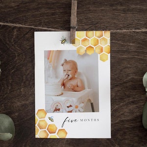 Bee First Birthday Photo Banner, 1st Birthday Photo Banner, Honey Bee Monthly Milestone Photo Cards, Sweet As Can Bee, First Bee Day Party image 5