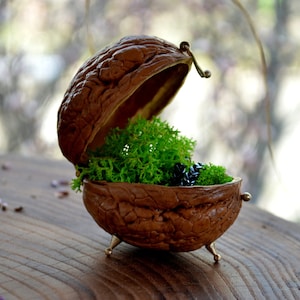 Gigant WALNUT casket, Rustic style wedding,Small proposan ring holder with natural Moss,Woodland Engagement Ring Bearer Box Personalized