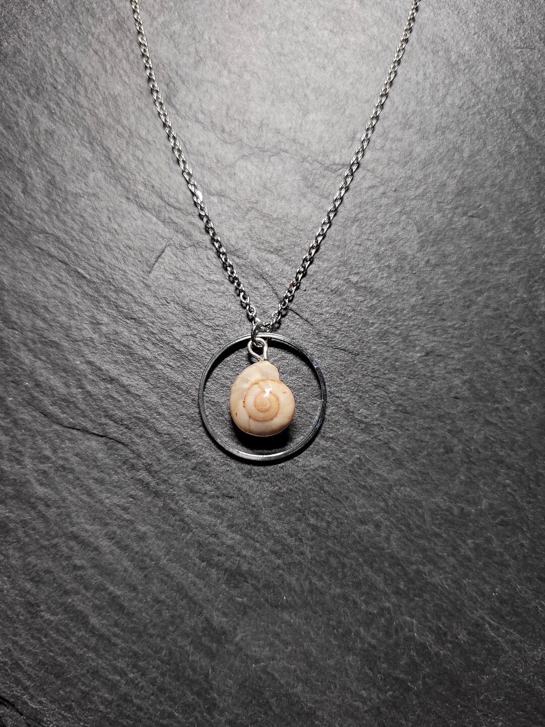 Real Shell Necklace, Real, Sea Shell, Pendant, Necklace, Chain ...