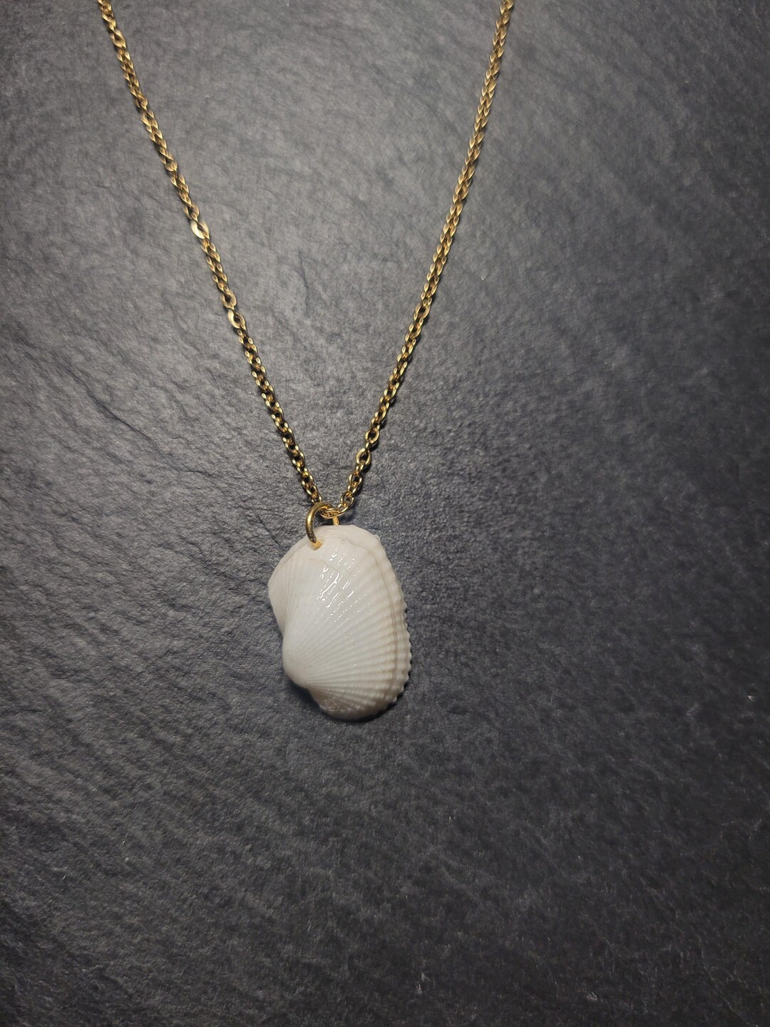 Real Shell Necklace, One of a Kind, Real, Shell, Sea Shell, Necklace ...