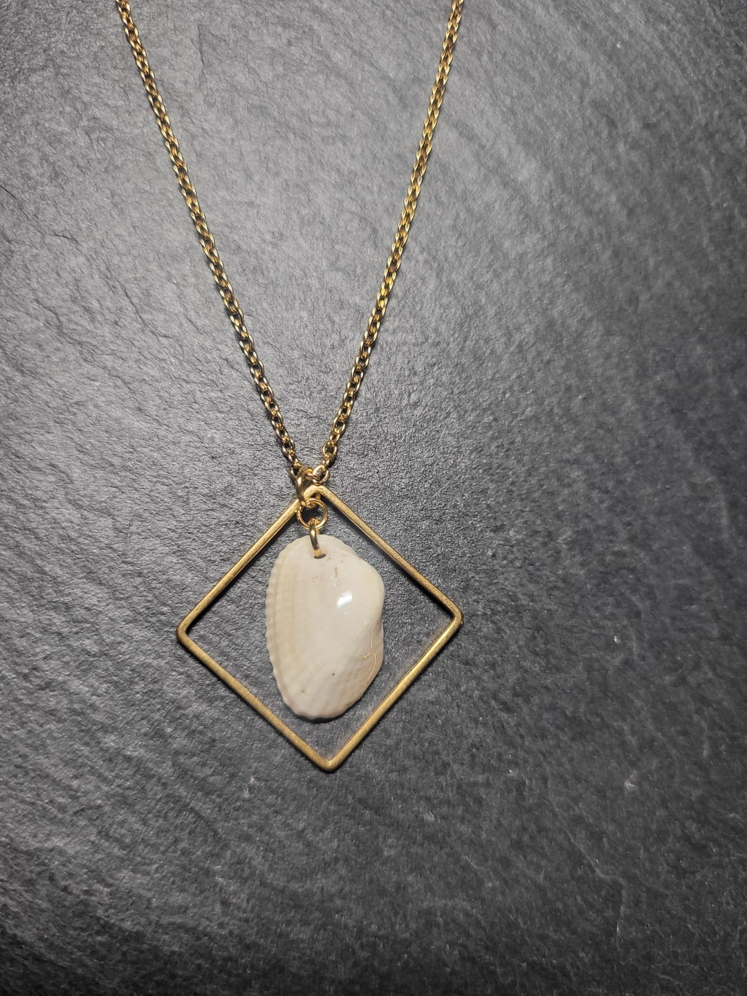 Real Shell Necklace, Real, Sea Shell, Pendant, Necklace, Chain ...
