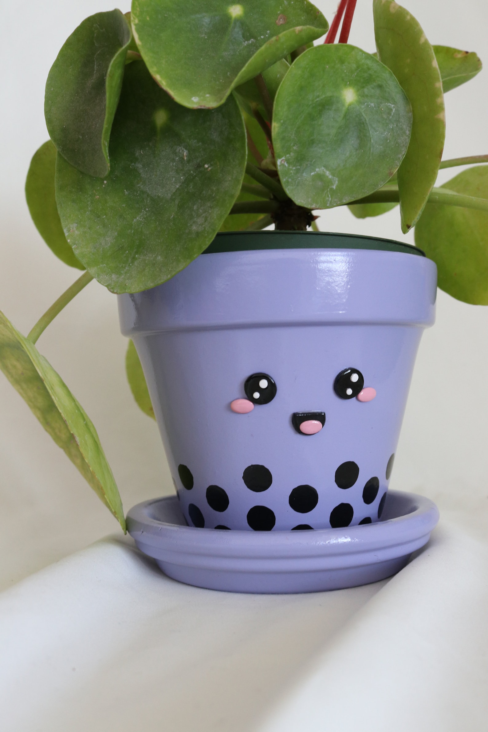 Boba Tea Plant Pot Taro Milk Tea Clay Planter Pot Cute 4