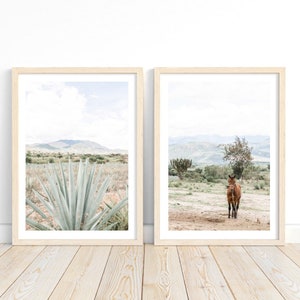 Valle de Oaxaca set of 2, Mexican Photography, Agave Plant, Mezcal, Mexican Folk Art, Oaxaca, Maguey image 4