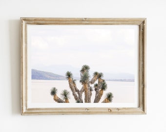 Joshua Tree, Lake Patzcuaro, Mexican Photography, Michoacan, Mexican Folk Art, Mexico