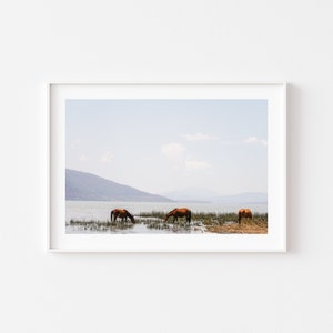 Los Caballos, Mexican Photography, Michoacán, Landscape Photography, Horses image 3