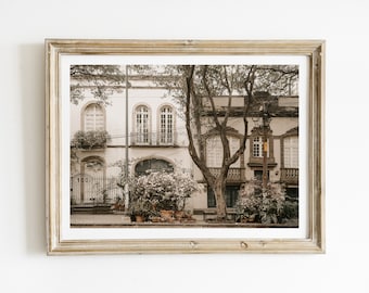 May include: A framed photograph of two buildings with white walls and brown trim. The buildings have large windows and balconies. A tree with green leaves is in front of the buildings. The photo is in a light brown frame.