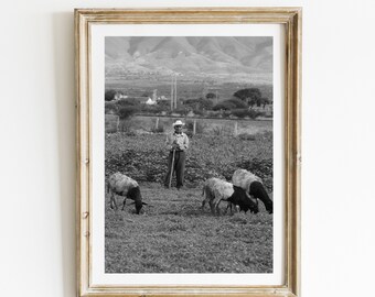 Pastor Zapoteco, Native, Mexican Folk Art, Mexican Photography, Oaxaca, Mexico