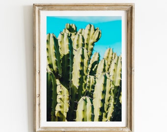 Cactus, Mexican Photography, Nopal, Cactus, Mexican Folk Art, Mexico, Pastel, San Miguel de Allende