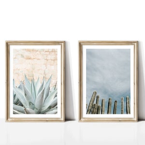 Cactus Mexicanos set of 2, Mexican Photography, Agave Plant, Mezcal, Mexican Folk Art, Oaxaca, Maguey, Mexico