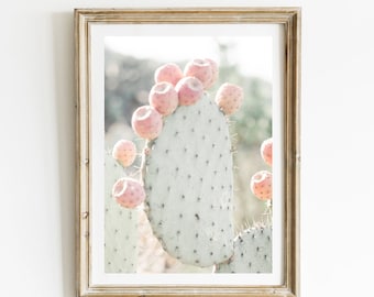 Prickly Pear, Mexican Photography, Nopal, Cactus, Mexican Folk Art, Mexico, Pastel, San Miguel de Allende